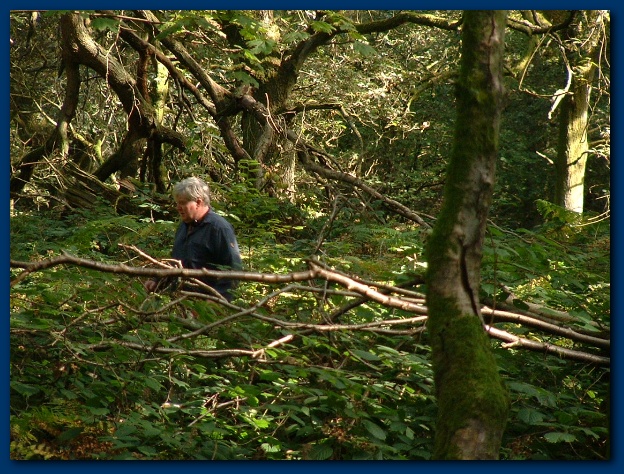 600x449 pixels (199K)